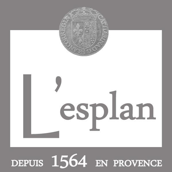 Отель L'Esplan Сен-Поль-Труа-Шато Экстерьер фото